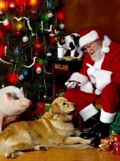 Jingle Bell Boarding Some of fondest memories a person has is Christmas morning; rushing to tree to see what Santa has left for m! What's greater than seeing your new animal friend sitting be tree?