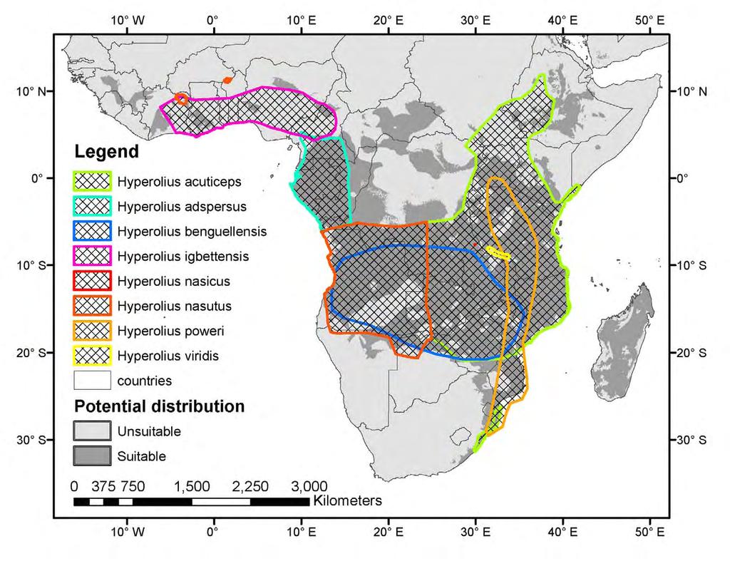 FIGURE 16. Potential distribution of the H. nasutus group derived from a BIOCLIM model. All grey areas are within the environmental envelope of the group, pale areas are outside of the envelope.