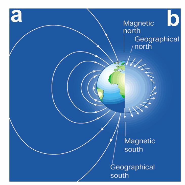 Figure 1.1. Diagram of the Earth s magnetic field. (a) Geomagnetic field lines emerging from the southern hemisphere and entering into the northern hemisphere.
