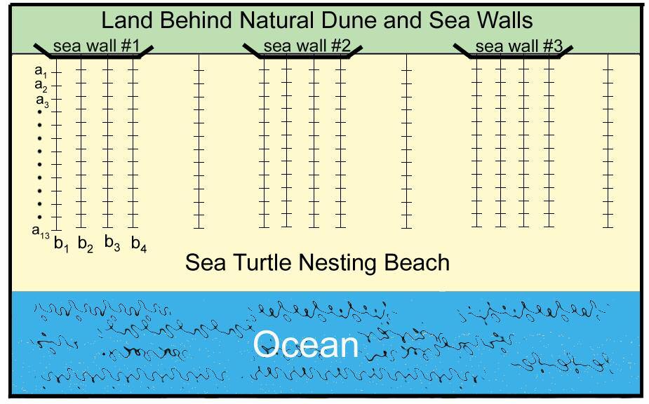 Methods To assess the effects of sea walls on the local magnetic field along sea turtle nesting beaches, we measured the field distortions produced by three separate sea walls built on beaches where
