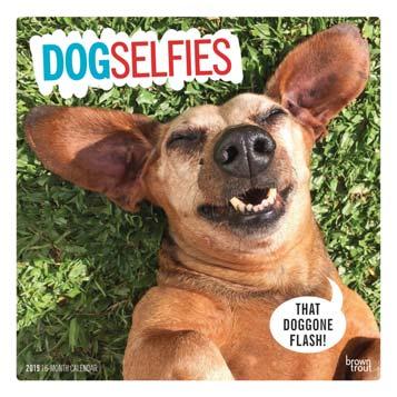 Dog Nose Best Dog Selfies