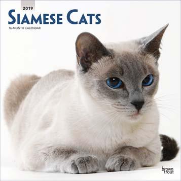 Siamese Cats 9781975401078