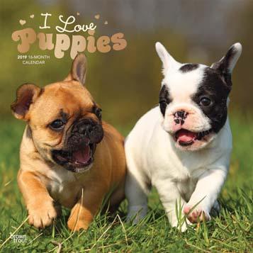 Puppies, 365 Days (Foil)