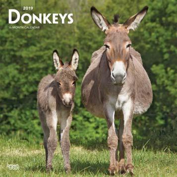 Donkeys 9781465075581
