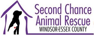 SECOND CHANCE ANIMAL RESCUE WINDSOR-ESSEX ANIMAL ADOPTION APPLICATION DOG Second Chance Animal Rescue Windsor-Essex (SCAR) reserves the right to discard applications that have not been completed in