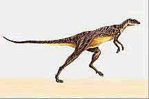ornithischians Pisanosaurus - Argentina