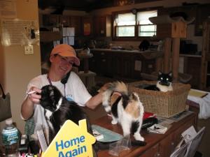 MRFRS Milestones 1996 Adopted out first Feline Leukemia+ cat 2000 Free s/n clinic for ferals 2003 First
