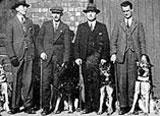 History 1931 - first 4 British guide dogs trained 1959 - first brood bitch, a German shepherd named Reiner 1960 - breeding programme founded by Derek Freeman 1970 - breeding and puppy walking
