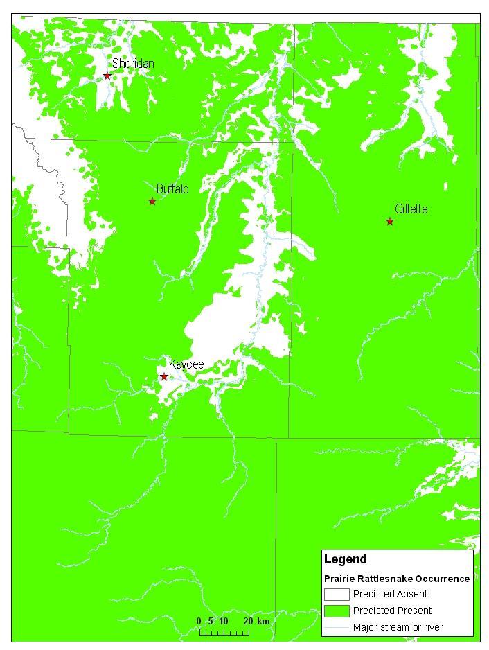 Figure 19. Draft species distribution map for the Prairie Rattlesnake (Crotalus viridis) showing predicted occupancy (present/absent) in the Powder River Basin, Wyoming.