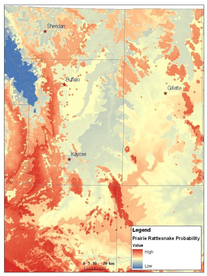 Figure 20. Draft species distribution map for the Prairie Rattlesnake (Crotalus viridis) showing probability of occupancy (high to low) in the Powder River Basin, Wyoming.