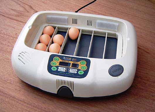 advertisement R Com 20 New The most advanced but easy to use incubator in West Europe. Capacity 20 chicken eggs or an equivalent. Temperature and humidity is digitally controlled and displayed!