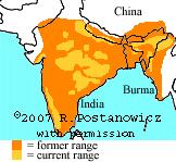 Most Bengal tigers live in India, though some are known to range through Nepal, Bhutan and Myanmar. Fig 1. Bengal Range (www.lioncrusher.com) Indochinese tigers however are widely distributed.