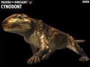 The cynodont is called a missing link because he has a like a reptile but the of a mammal.