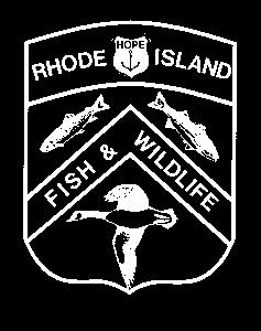 Because they were perceived as livestock predators and as competitors for game, many states, including Rhode Island, at one time offered bounties for foxes and other predators.