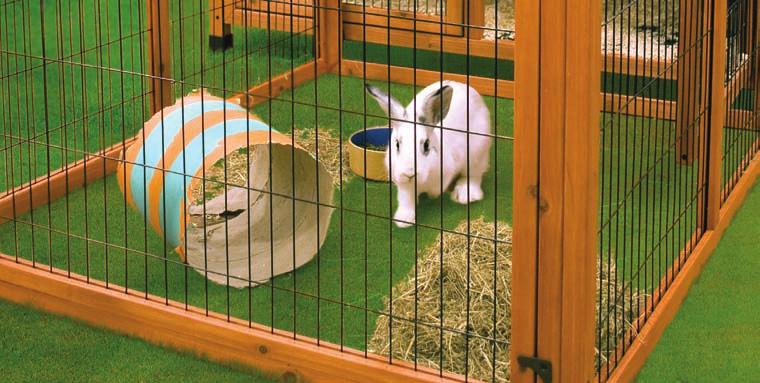 Ideal scenario If rabbits are kept in a hutch it should be big enough to allow them to lie down and stretch out comfortably in all directions, tall enough for them to stand up on their back legs