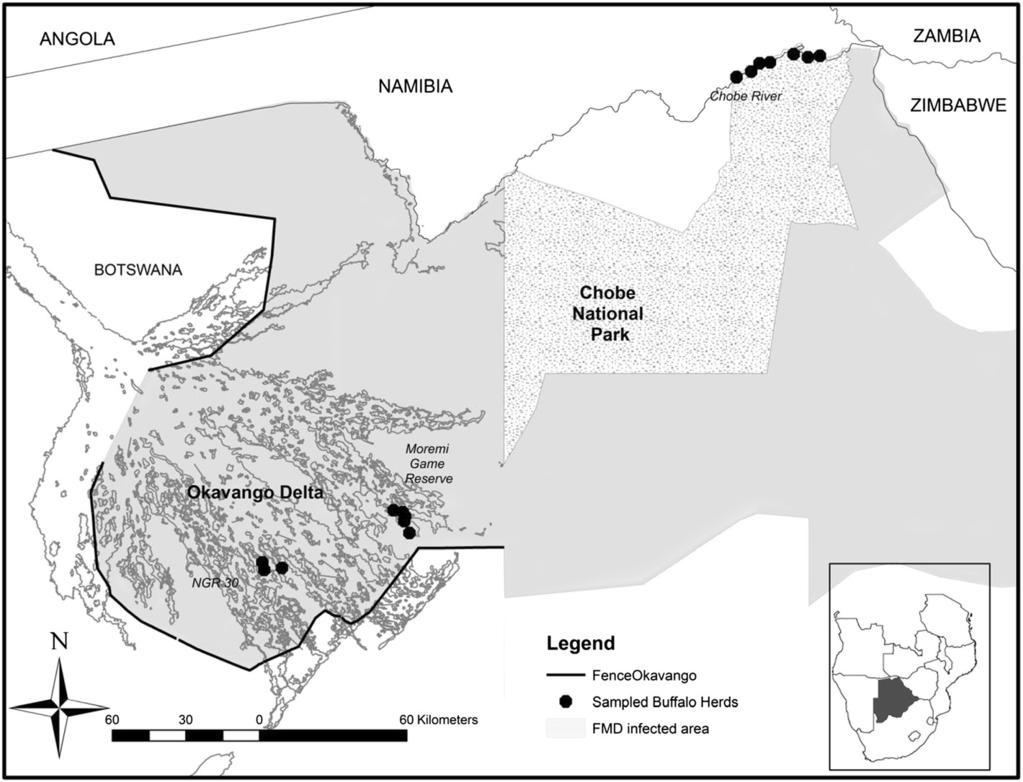 Eygelaar et al. Parasites & Vectors (2015) 8:26 Page 3 of 11 Figure 1 Areas where samples were collected from buffalo herds in northern Botswana.