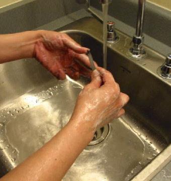 Continue to scrub your hands with soap.