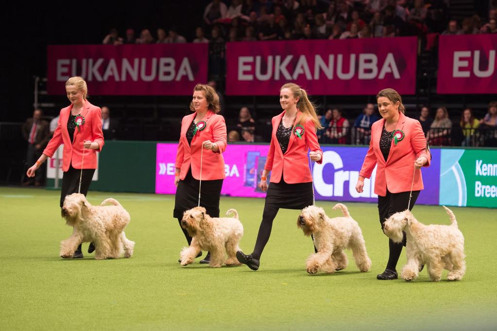MARCH 2018 2 NEWS from the Kennel Club Competitions galore at Crufts Continued from page 1 include team and individual rounds.