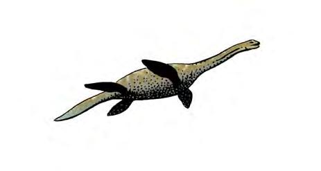 Suddenly, a big reptile (an ichthyosaur) that looked like a dolphin swam past and grabbed one of the