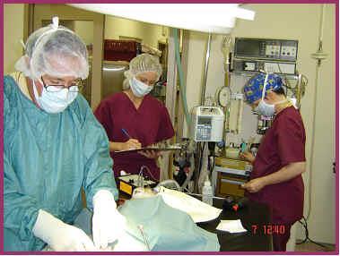 Maximal sterile barrier The person inserting the central line wears A head cap Face mask