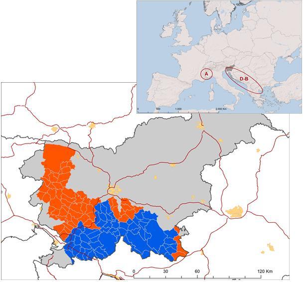 Figure 1: The study area was divided into two areas of permanent (blue) and occasional (orange) wolf presence in Slovenia Socio-demographic characteristics: There were no significant differences in