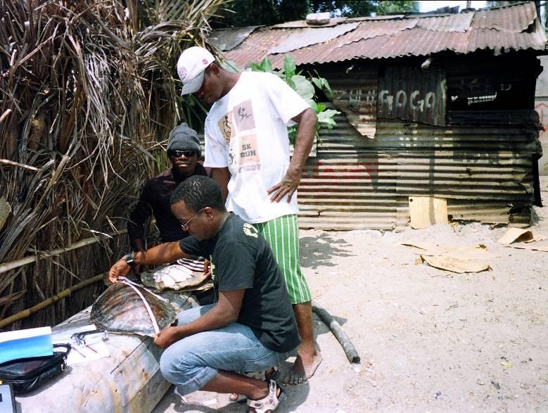 August 2009 to determine if the trade is increasing and identify the level of awareness of turtle conservation amongst the fishing community.