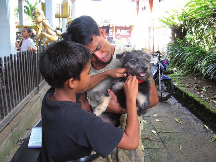 Rabies is entirely preventable in dogs by vaccination. Dogs, cats and other pets who have the opportunity to come into contact with other animals should be vaccinated against rabies per local laws.