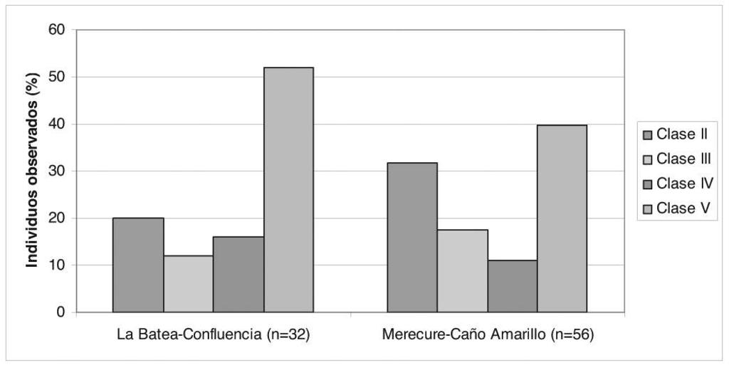 Population Structure In the most representative sampled sections, the caiman populations were integrated by a major proportion of adult individuals Class V: in the La Batea-Confluencia section there