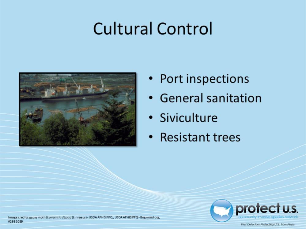 Cultural control methods include quick a few general techniques. One of the most important is port inspections to present future introductions of the Asian gypsy moth from spreading.