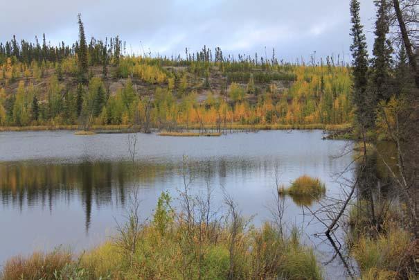 In the Yukon, water levels remain fairly high due to two summers of above-average precipitation and high snowpack last winter.