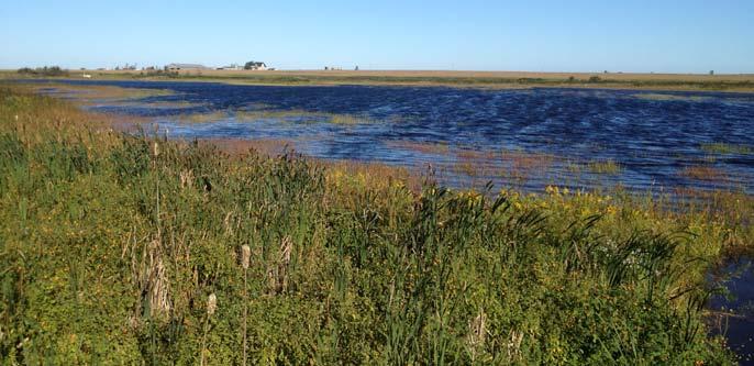 ATLANTIC CANADA Noonan's Marsh Project, Prince Edward Island After a warm and dry summer, rain has brought water levels back up in most areas.