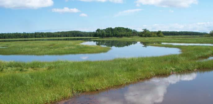 Recent rain has helped water levels recover in most small DUC projects, which suffered this summer.
