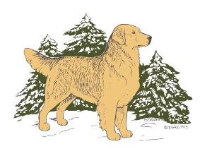 The Evergreen Golden Retriever Club The Golden West The Official Newsletter of the