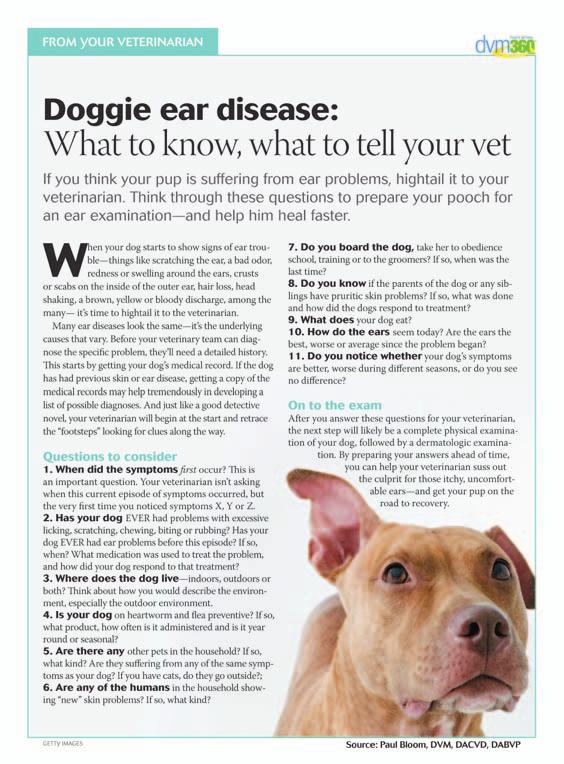 Tell your veterinary clients what you re going to ask them: The ear disease edition Client compliance is big when it comes to ear disease.