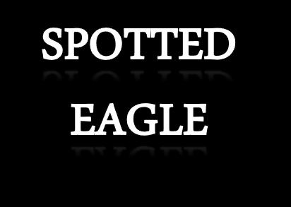 Some other Gulf species include Spotted Eagle