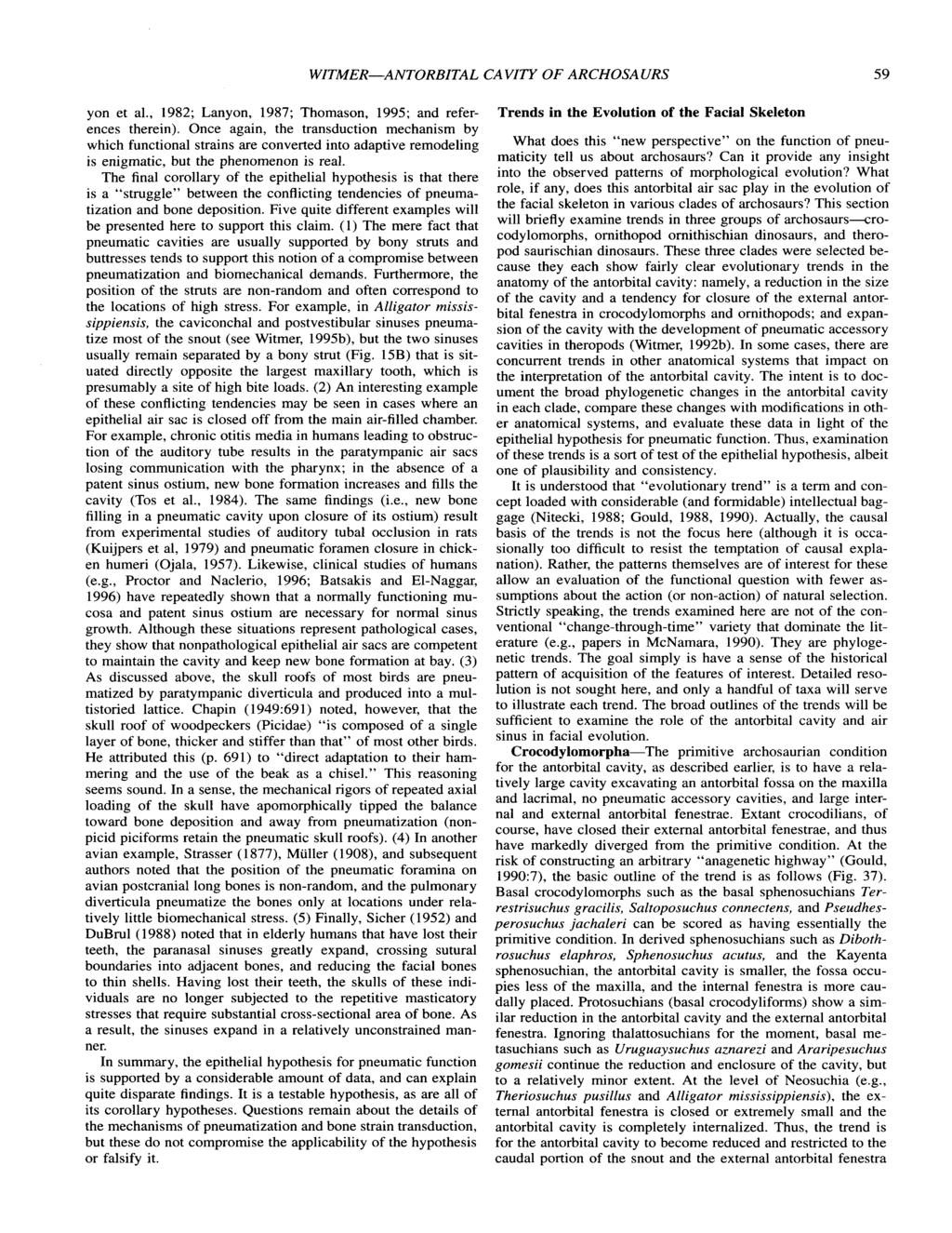WZTMER-ANTORBITAL CAVITY OF ARCHOSAURS 59 yon et al., 1982; Lanyon, 1987; Thomason, 1995; and references therein).
