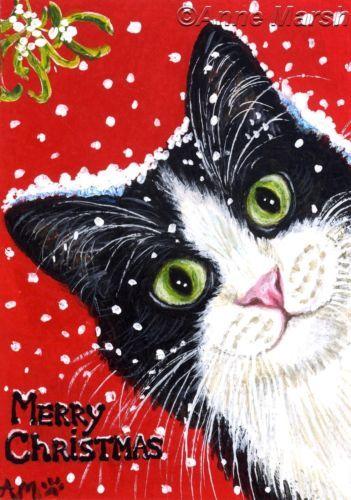 Fife Cat Shelter Winter Newsletter 2017 This has been one of our busiest years ever! From the 1st of January, requests to take in cats has not lessened.