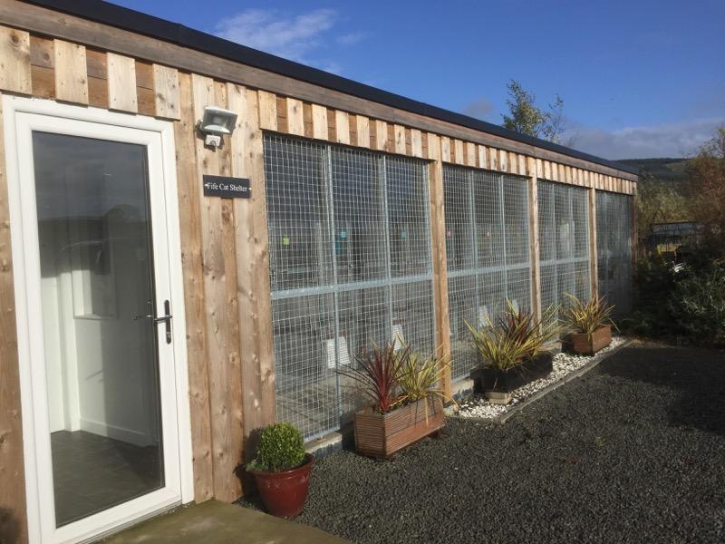 Our unit of pens built last year at Causeway Cattery specifically for Fife Cat Shelter cats, has been very successful.
