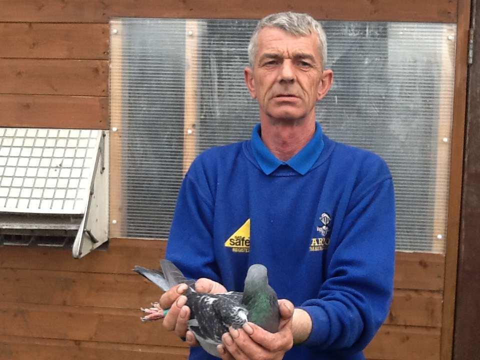 Davy Armour 1 st Section C 2 nd Section C 26 th Open Dean Bridges Milton of Balgonie Dean is a new starter in pigeons and has done very well indeed in a relatively short that time when you take into