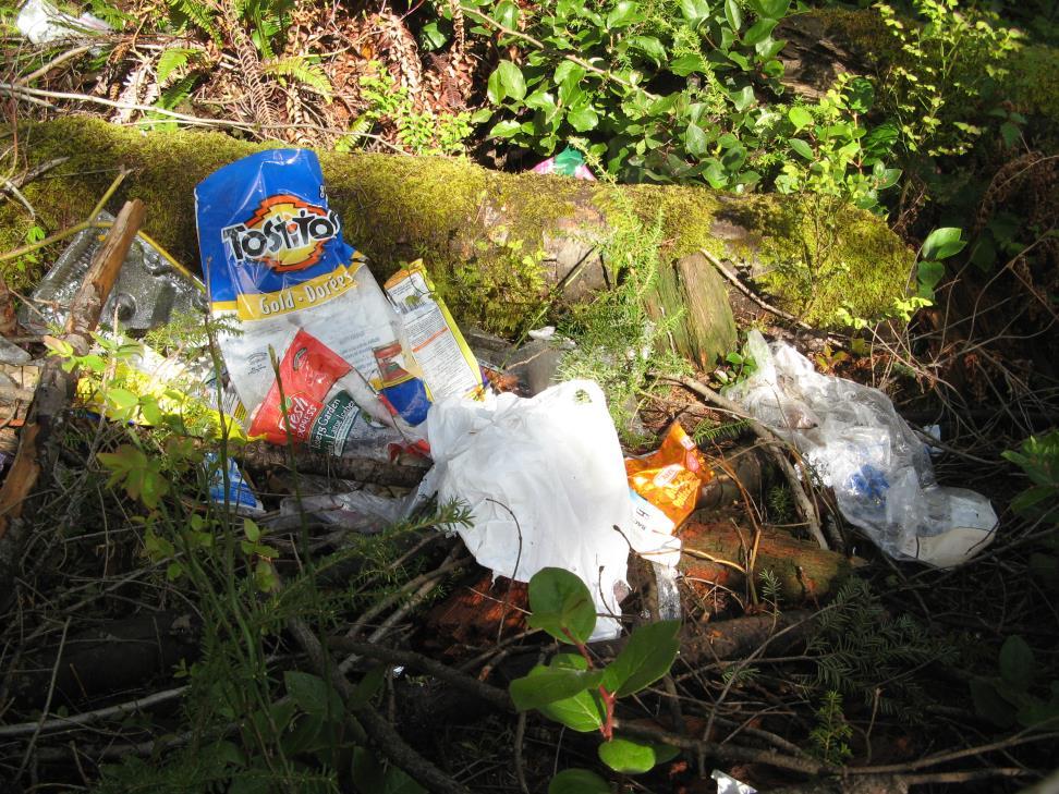 Stash the Trash Household garbage is the number 1 attractant for bears By properly managing our