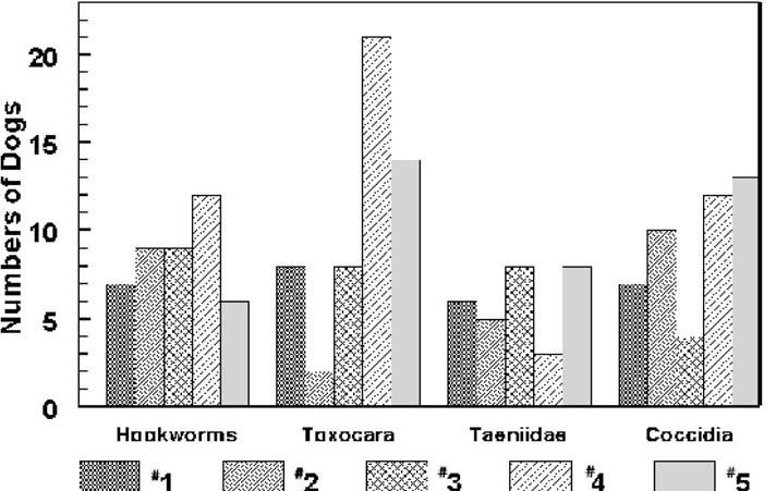 Proceedings of the South Dakota Academy of Science, Vol. 81 (2002) 231 Figure 1. Intensity Distribution of Intestinal Parasites in Dogs from South Dakota.