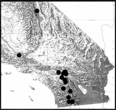 UBICK & VETTER A NEW APOSTENUS FROM CALIFORNIA 65 Figure 2. Map of southern California showing the known localities of Apostenus californicus.