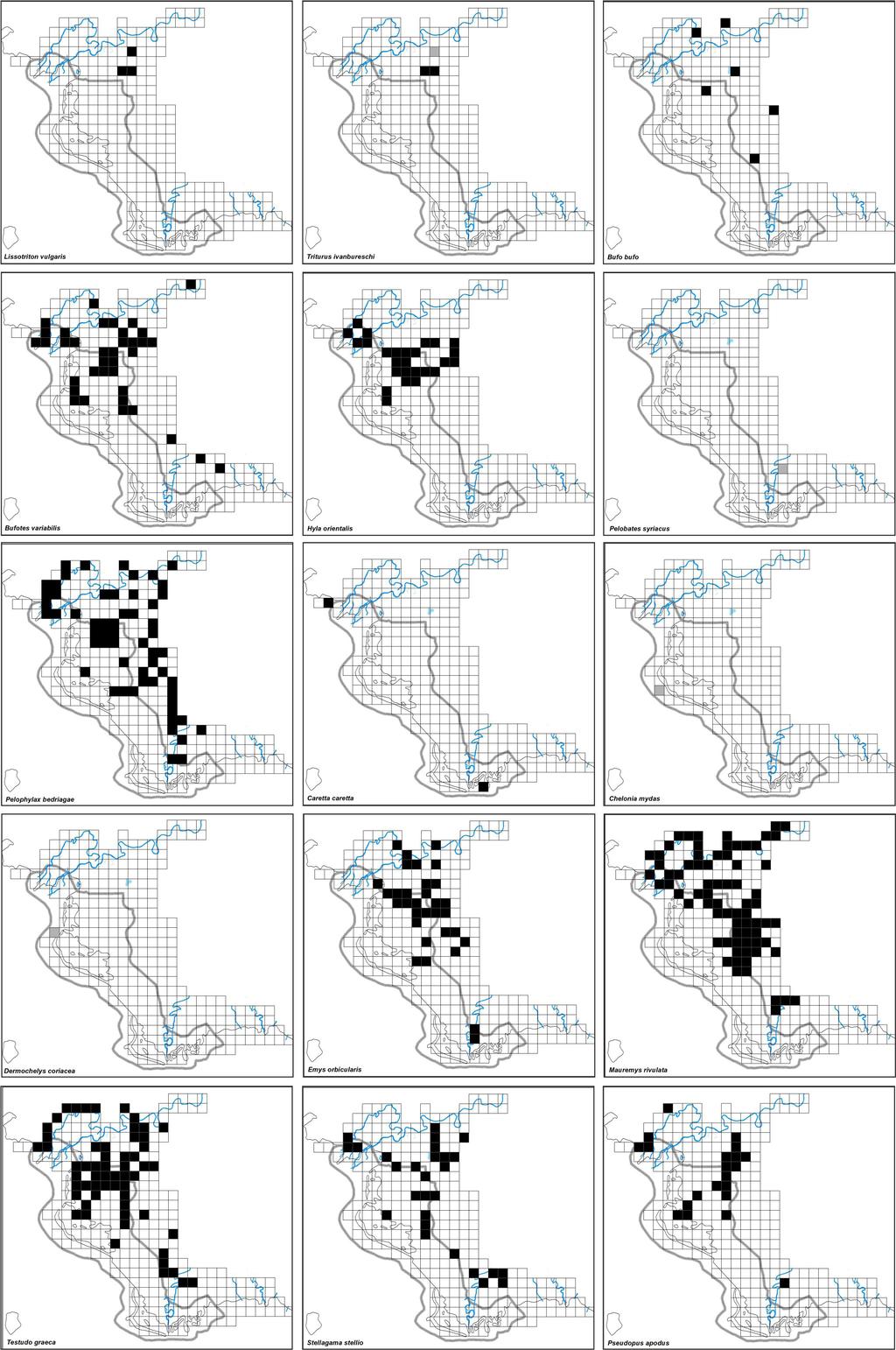 Distribution and current status of herpetofauna in the Gediz Delta 5 Figure 3.