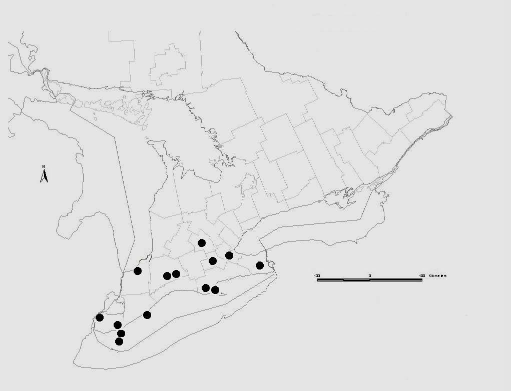 Figure 1. Approximate locations of observations of Eastern Box Turtle (Terrapene carolina) from southern Ontario from the 20th century.