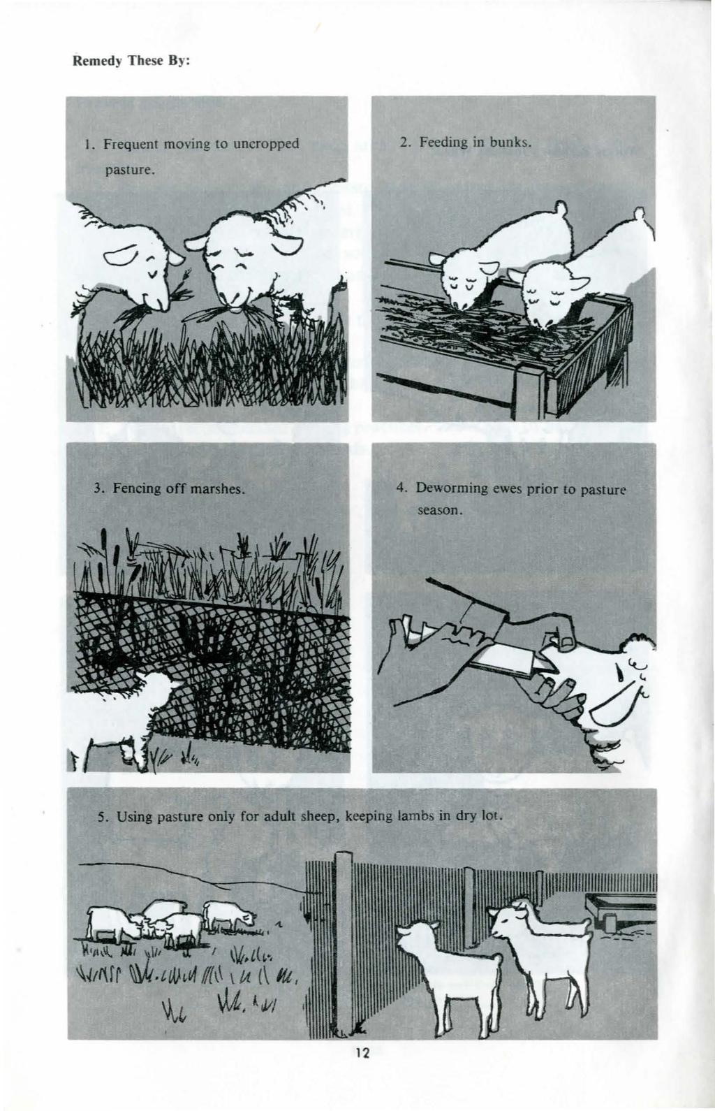 Rem edy T hese By: I. Frequent moving to uncropped 2. Feeding in bunks. 3. Fencing off marshes. 4.