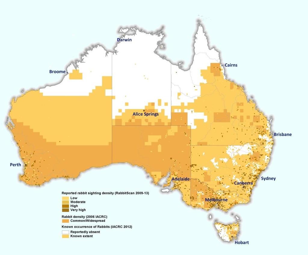 North of the Tropic of Capricorn, most rabbit populations are generally small, isolated and restricted to areas with more fertile soils or where there is a shallow water table (Williams et al. 1995).