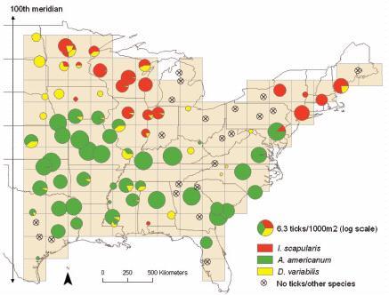 Emerging tick-borne pathogens in the US Ixodes scapularis
