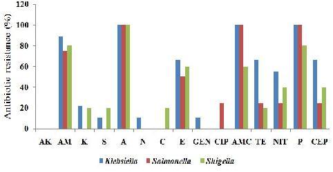 Fig 1: Resistance pattern of the most dominant isolates (Amikacin [AK], Amoxicillin [AM], Kanamycin [K], Streptomycin [S], Ampicillin [A], Neomycin [N], Chloramphenicol [C], Erythromycin [E],