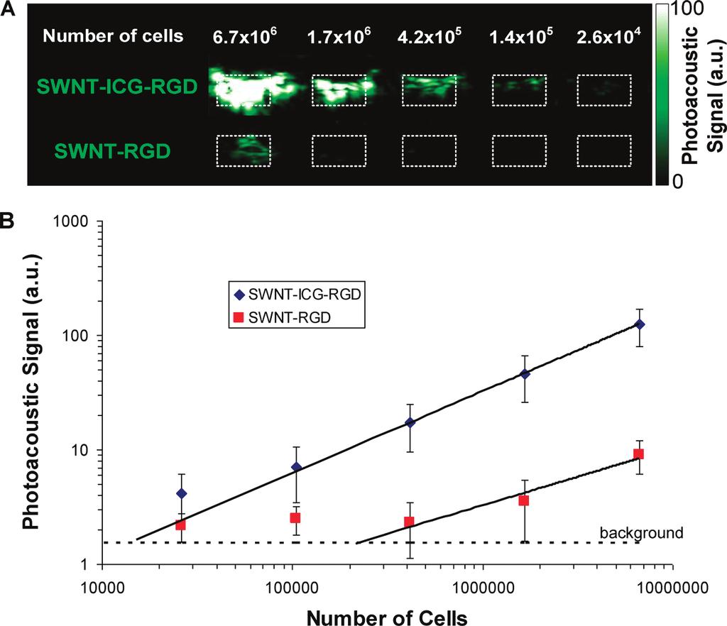 FIGURE 4. Comparison of plain SWNT-RGD to SWNT-ICG-RGD.