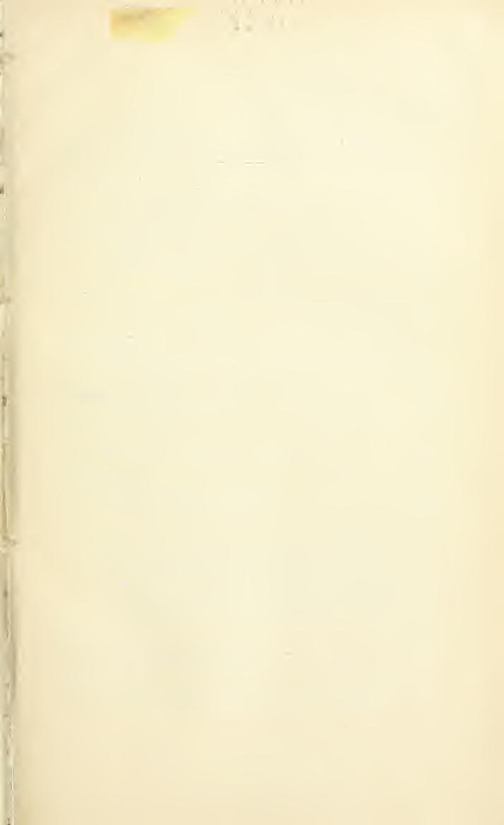 Contents of Volume VIII Banks, Nathan, New Genera and Species of Phalangi da,... igc) Beutenmuller, William, 254 234 Entomological Writings of the Late Rev.